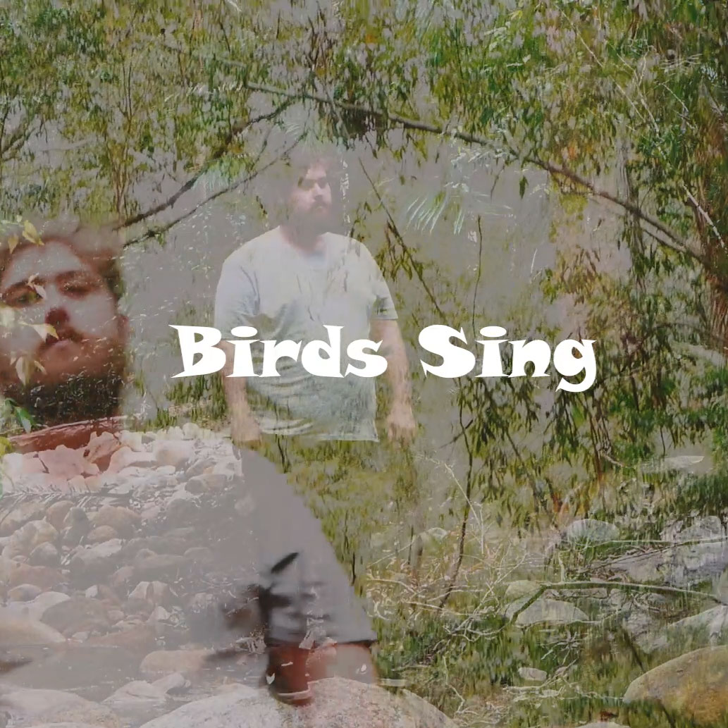 Birds Sing