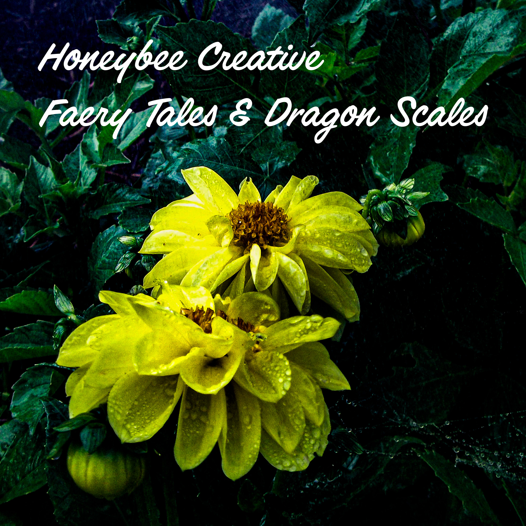 Fairy Tales & Dragon Scales