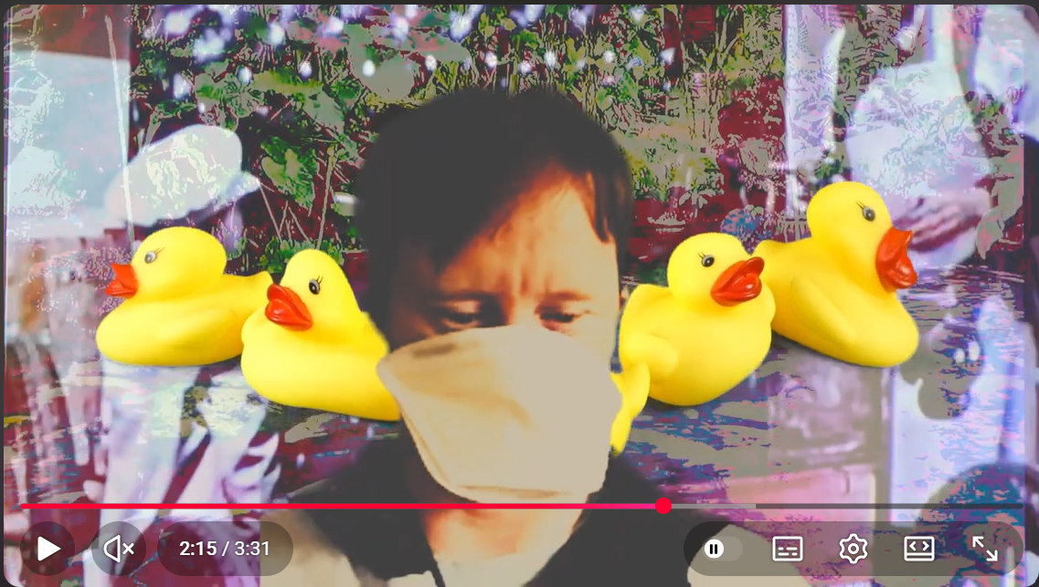 Ducks Driving Trucks ~ Video