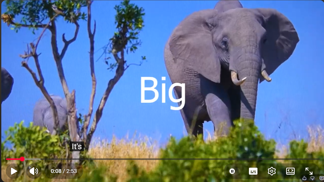 It’s Really Big! ~ Video